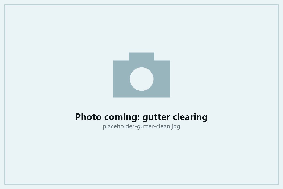 Gutter clearing on a Tauranga property